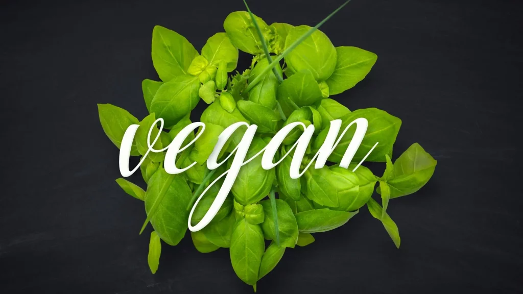 what is vegan diet