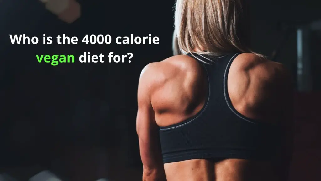 Who is the 4000 calorie vegan diet for?