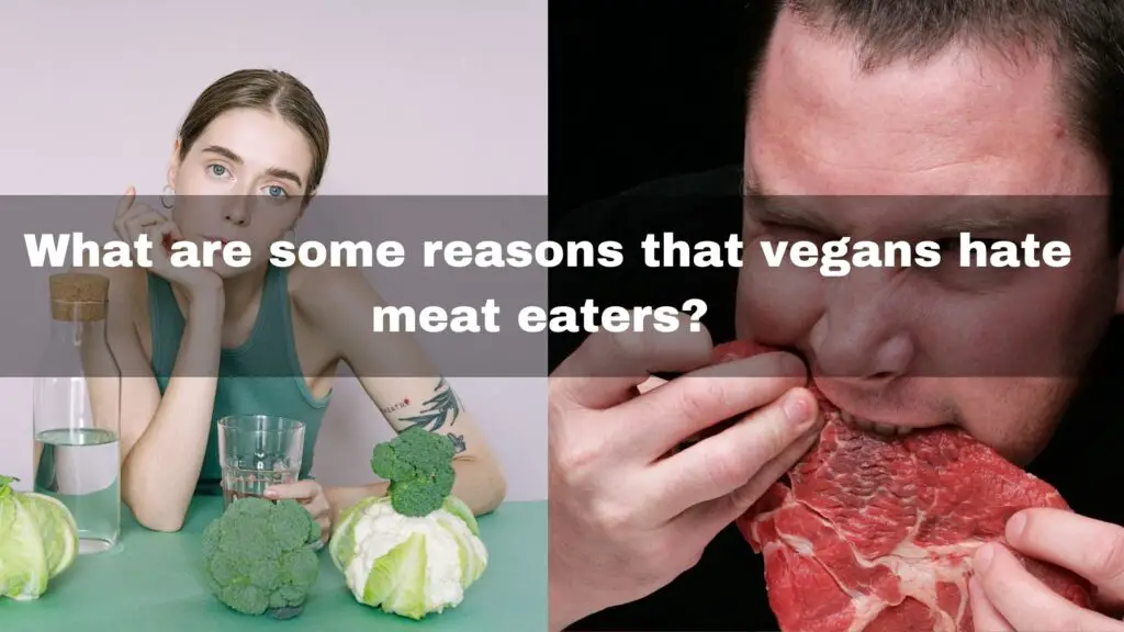 o Vegans Hate Meat Eaters