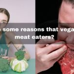 what are some reasons that vegans hate meat eaters