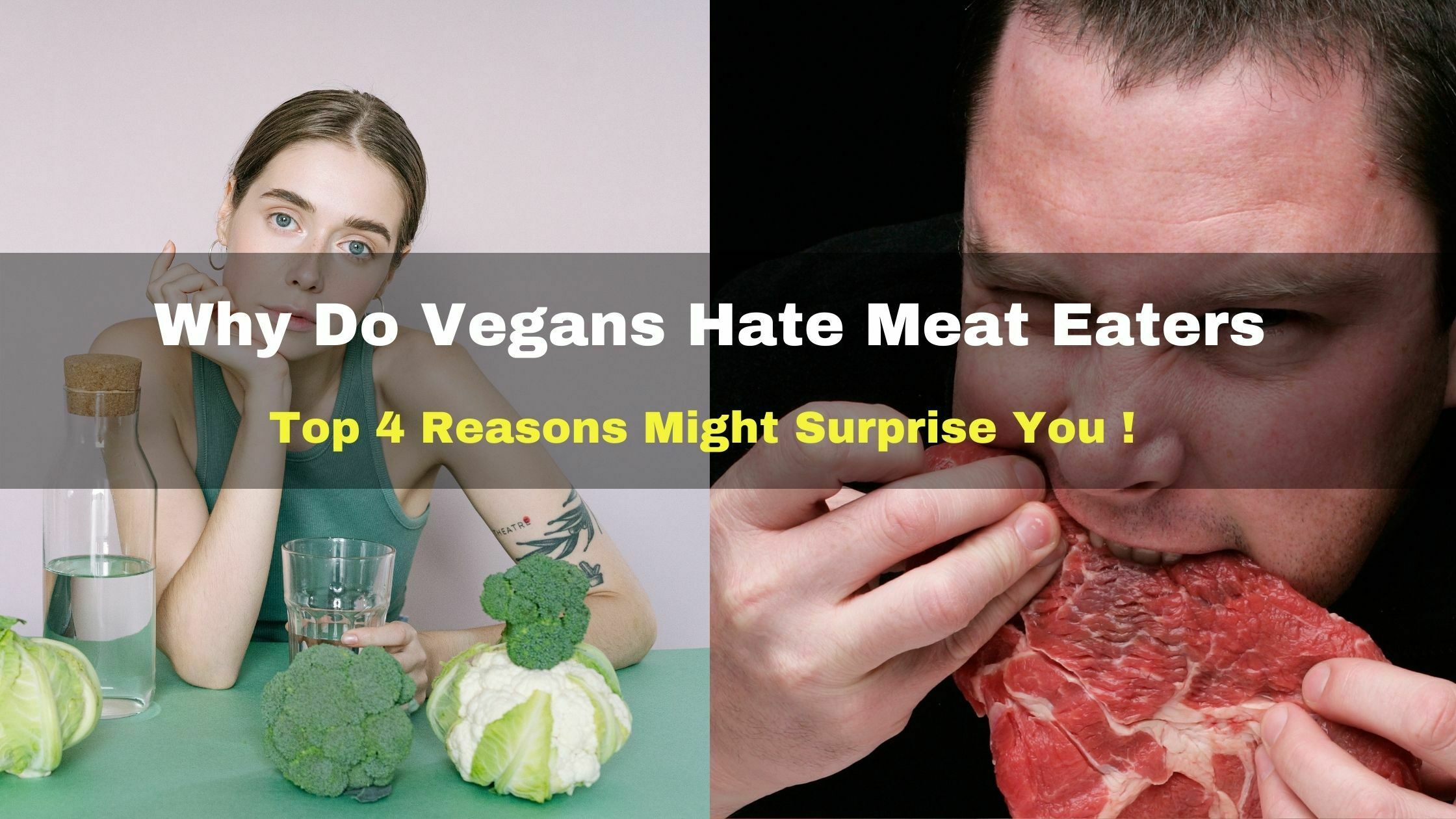 Vegans Hate Meat Eaters