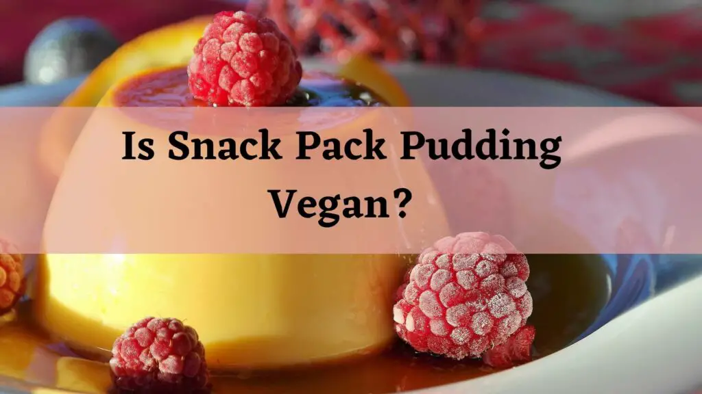 Is Snack Pack Pudding Vegan