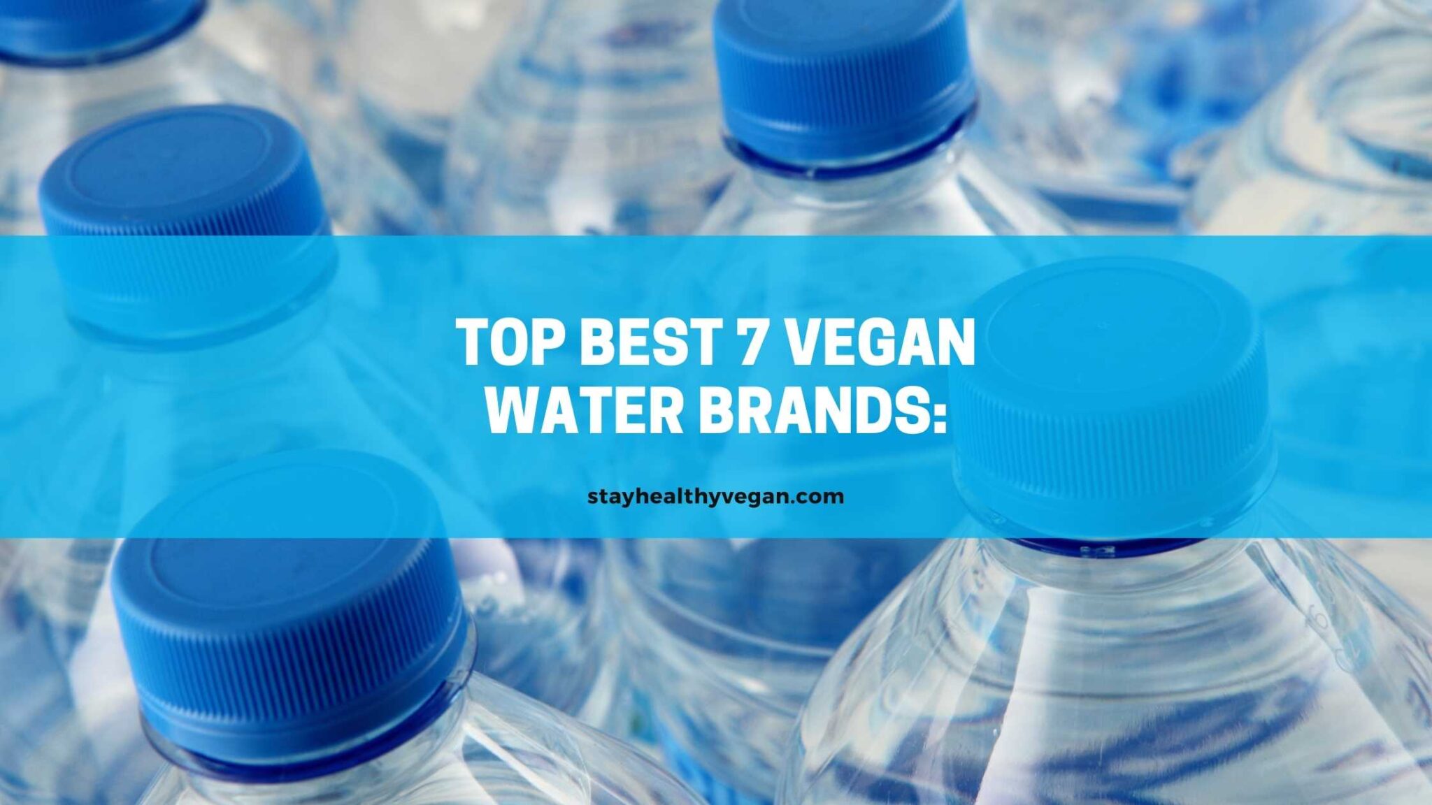 Is Aha Sparkling Water Vegan? 7 Best Vegan Water Brands 2024