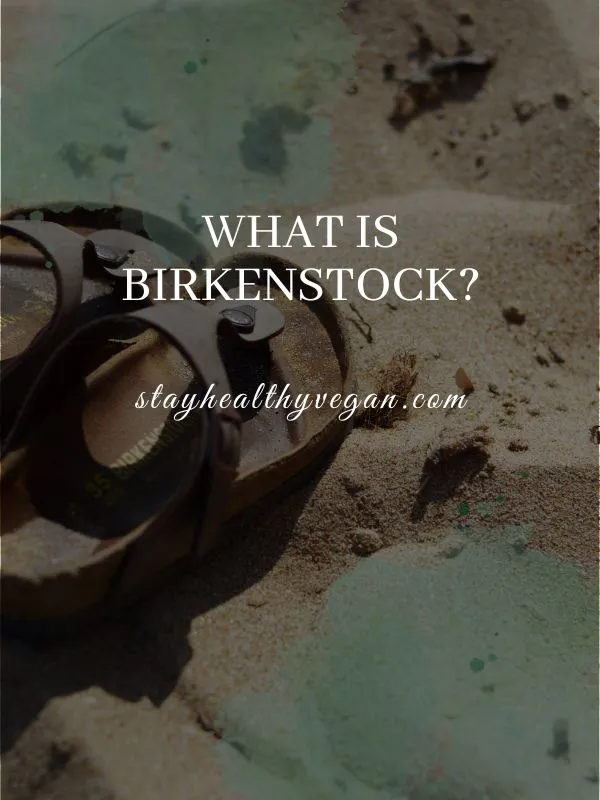 What Is Birkenstock