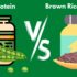 Brown Rice Protein vs Pea Protein – Which is Better for You?