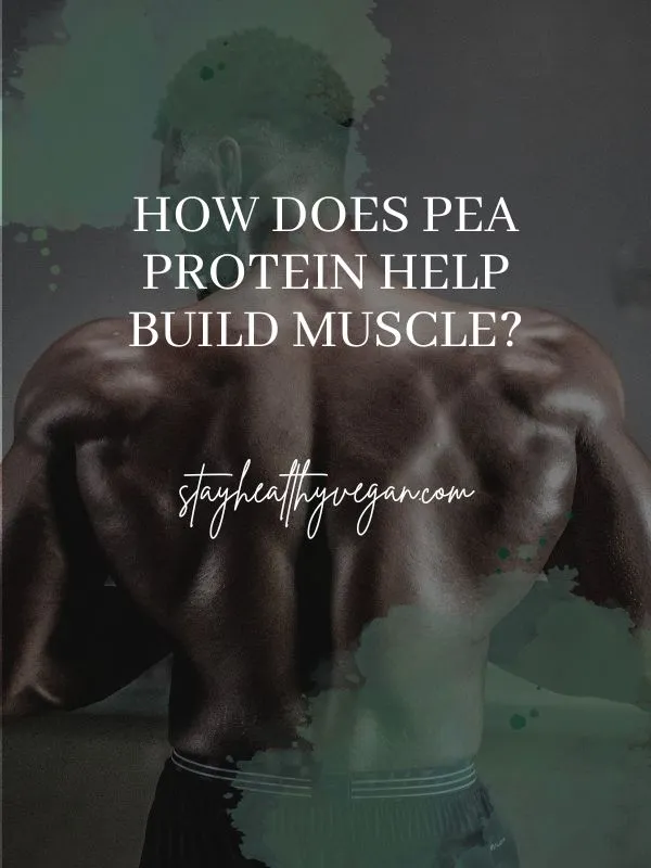 How Does Pea Protein Help Build Muscle