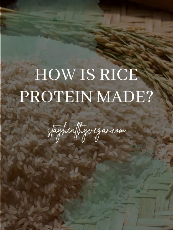 How is Rice Protein Made?
