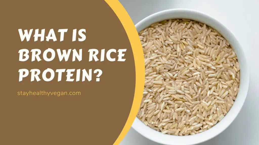 What is Brown Rice Protein