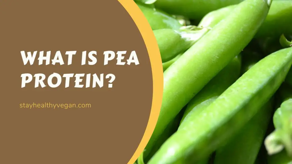 What is Pea Protein