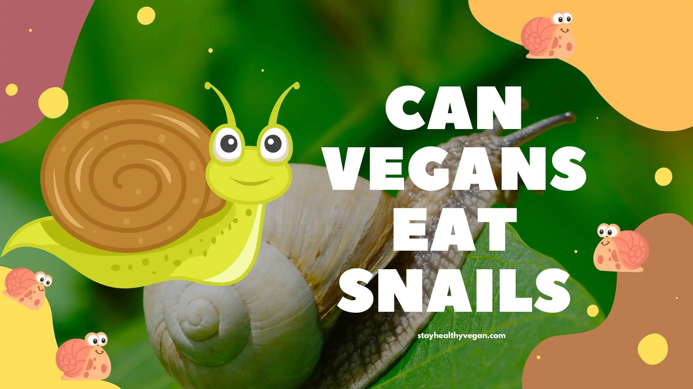 Can Vegans Eat Snails
