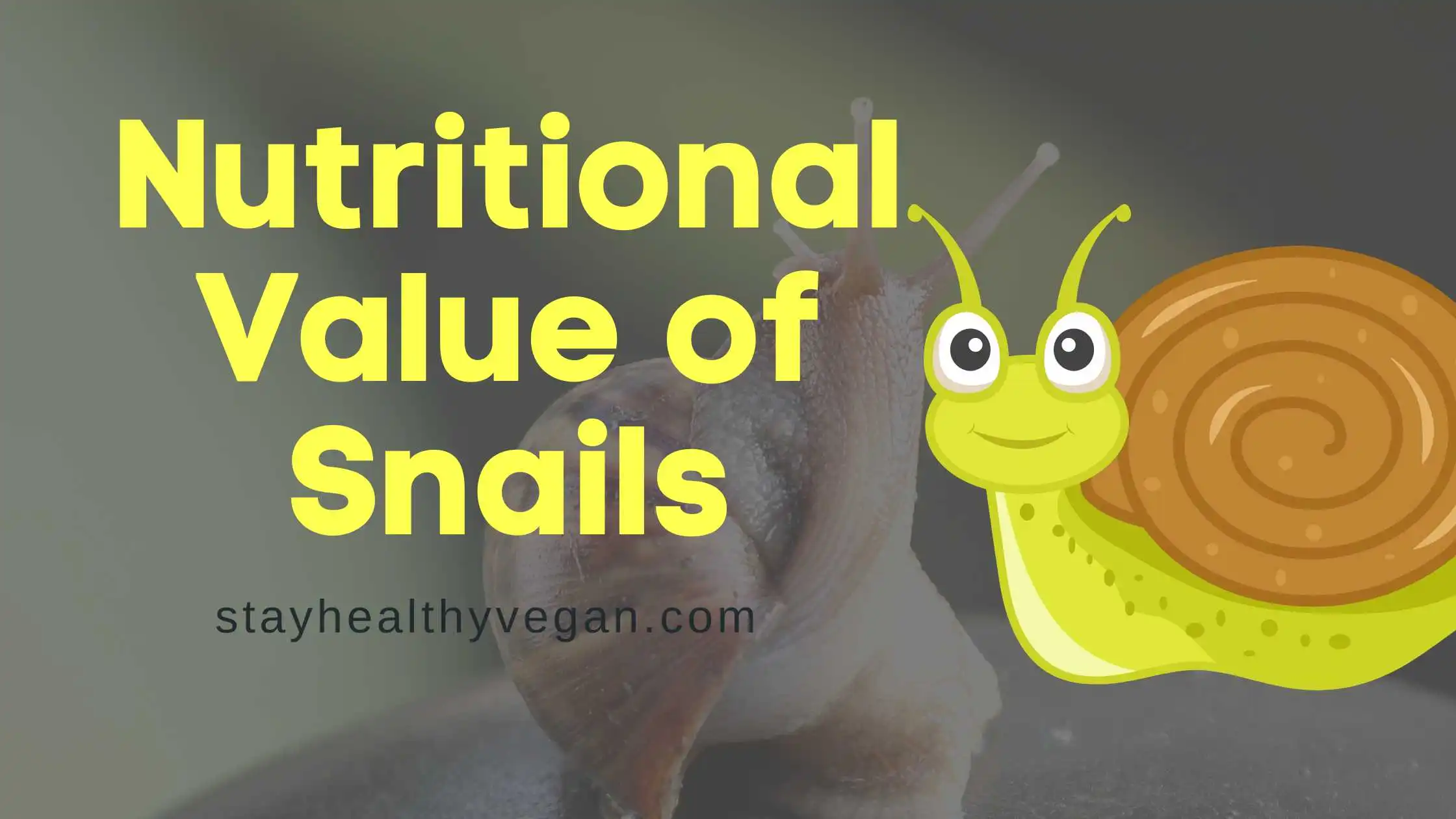 Nutritional Value of Snails
