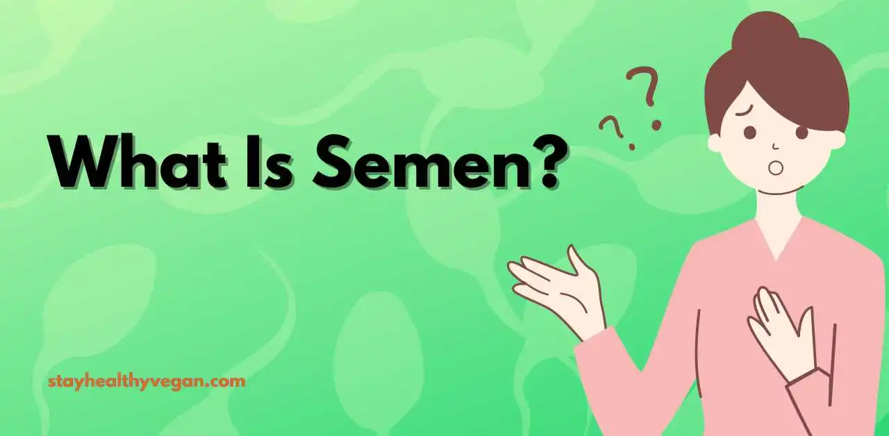 What Is Semen